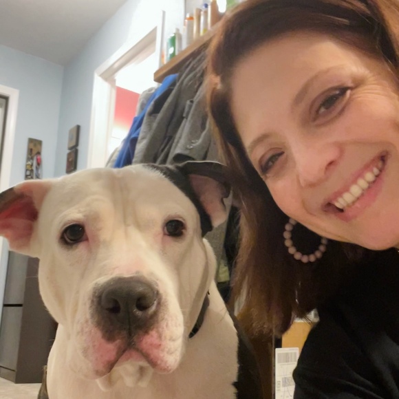 Meet your Posher, Posh - Picture 1 of 1